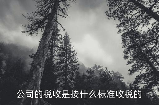 公司按什么標(biāo)準(zhǔn)納稅，公司的稅收是按什么標(biāo)準(zhǔn)收稅的