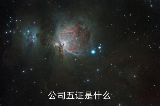 一般納稅人五證是什么意思，一般情況下公司的五證指得都是什么證