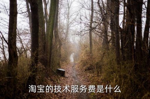 技術咨詢服務費指什么，醫(yī)藥行業(yè)技術服務費包含什么內容