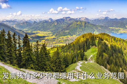 什么業(yè)務(wù)應(yīng)該專業(yè)發(fā)票，單位收費(fèi)開票1定要專業(yè)的
