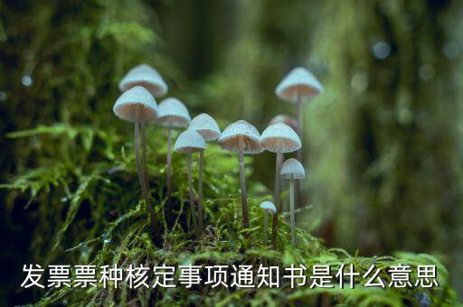 票種核定是什么，哪些情況下要進(jìn)行國稅票種核定