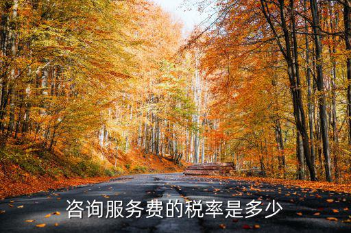 咨詢服務(wù)交什么稅，公司收到一筆咨詢費(fèi)應(yīng)該如何納稅稅率是多少急謝謝