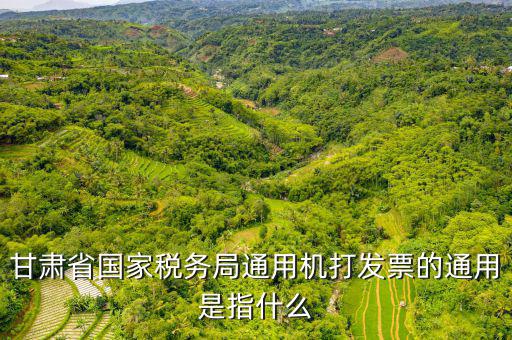 山西省稅務(wù)局六最是指什么，甘肅省國家稅務(wù)局通用機打發(fā)票的通用是指什么