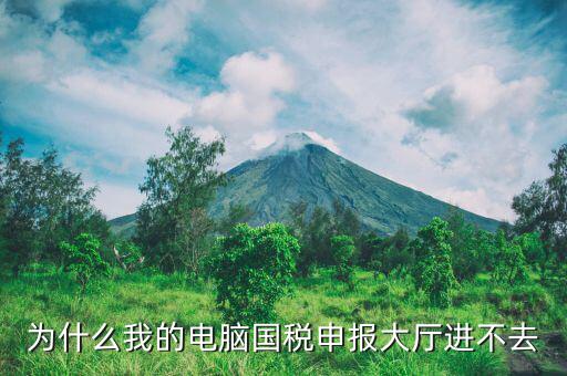 陜西國(guó)家稅務(wù)局為什么上不去，為什么我的電腦國(guó)稅申報(bào)大廳進(jìn)不去