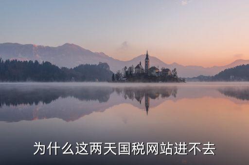 為什么濟(jì)南國(guó)稅網(wǎng)站進(jìn)不去，為什么這兩天國(guó)稅網(wǎng)站進(jìn)不去