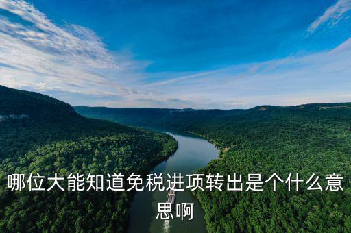 進(jìn)項轉(zhuǎn)出是什么意思，哪位大能知道免稅進(jìn)項轉(zhuǎn)出是個什么意思啊