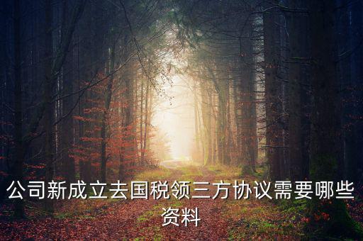 稅務(wù)簽三方協(xié)議需要帶什么，公司新成立去國(guó)稅領(lǐng)三方協(xié)議需要哪些資料