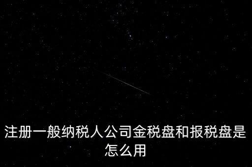注冊一般納稅人公司金稅盤和報(bào)稅盤是怎么用