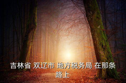 吉林市地稅局在什么位置，吉林市地方稅務(wù)局第二直屬稅務(wù)局在哪個區(qū)
