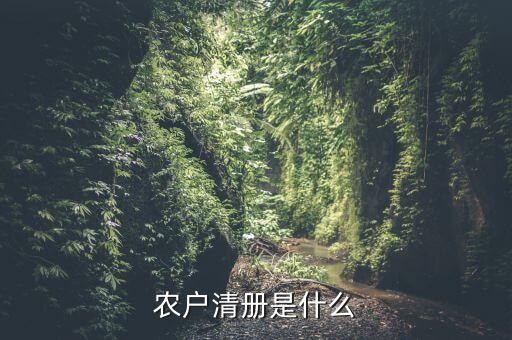 辦稅事項(xiàng)清冊(cè)是什么，會(huì)計(jì)檔案移交清冊(cè)什么意思