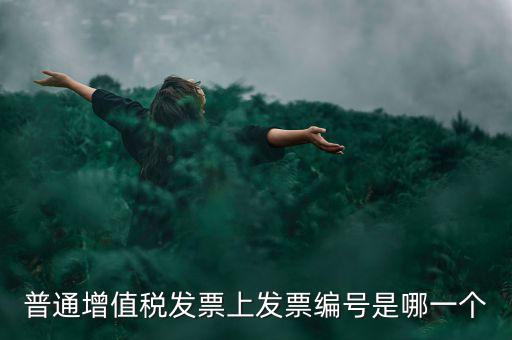 增值稅編號是什么，普通增值稅發(fā)票上發(fā)票編號是哪一個
