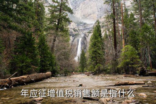 年度應(yīng)征額是什么意思，年應(yīng)征增值稅銷售額是指什么