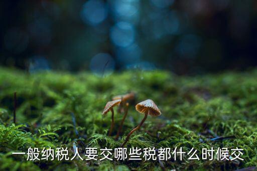 一般納稅人什么時候交稅，一般納稅人 普通發(fā)票開具后多長時間繳稅