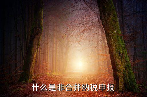 什么是非匯總納稅企業(yè)，什么是跨區(qū)經(jīng)營匯總納稅企業(yè)