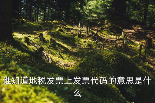 河北地稅發(fā)票的查詢碼是什么意思，如何查詢地稅發(fā)票開票點注冊碼是什么