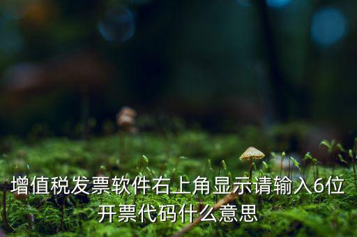 發(fā)票查詢校驗碼后六位是什么，發(fā)票驗證碼是什麼
