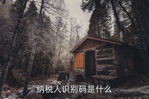 稅務(wù)識(shí)別碼有什么用，納稅人識(shí)別碼是什么
