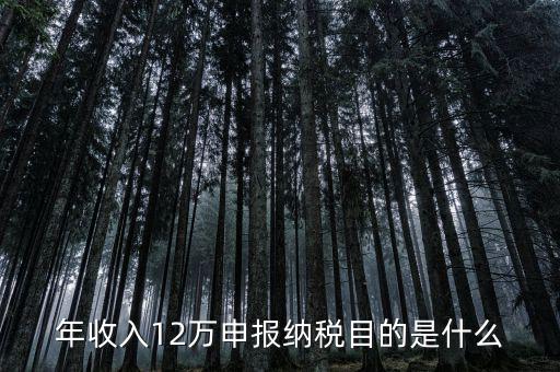 為什么12萬要報(bào)稅，年收入12萬個(gè)稅申報(bào)為什么要申報(bào)