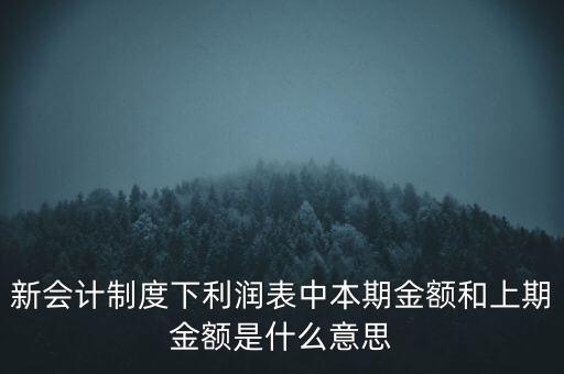 新會計(jì)制度下利潤表中本期金額和上期金額是什么意思