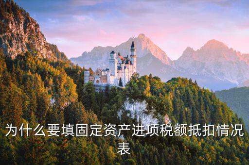 申報表固定資產(chǎn)進項稅有什么作用，國稅報表中固定資產(chǎn)進項稅報表