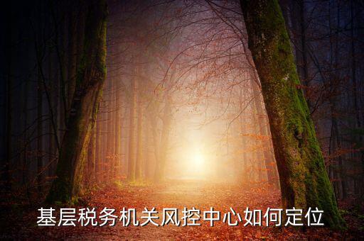 基層稅務機關風控中心如何定位