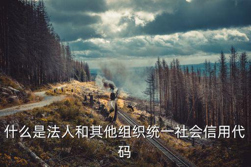 統(tǒng)一社會(huì)信用碼是什么意思，深圳碼統(tǒng)一社會(huì)信用代碼是什么