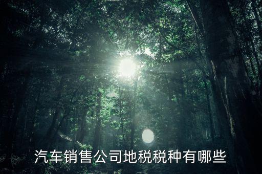 銷售汽車?yán)U納什么稅，一般納稅人公司銷售使用過的汽車要交哪些稅