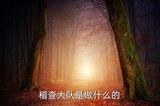 學(xué)?；椴渴鞘裁匆馑?，稽查大隊(duì)是做什么的