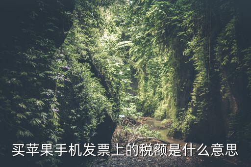 發(fā)票上的稅額是什么意思，買蘋果手機發(fā)票上的稅額是什么意思