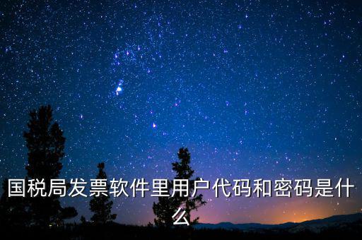 登錄稅務(wù)開票密碼是什么，國稅第一次網(wǎng)上申報(bào)的登陸密碼是什么