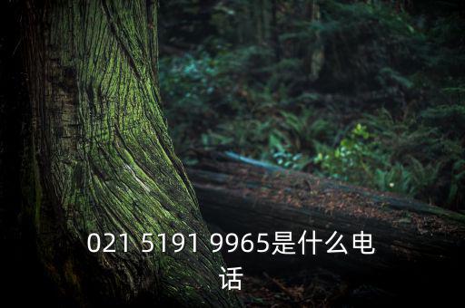 電稅中心是什么意思，021 5191 9965是什么電話