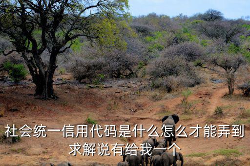 單位統(tǒng)一社會信息用代碼是什么，統(tǒng)一社會信用代碼9至17位