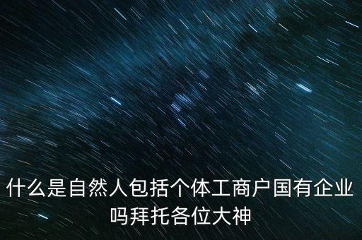 什么是自然人包括個體工商戶國有企業(yè)嗎拜托各位大神