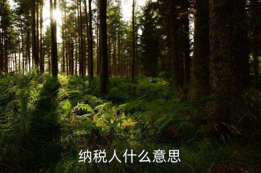 納稅資格什么意思，具有納稅人資格是什么意思