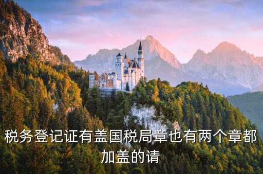 財(cái)稅證書什么樣，娛樂場(chǎng)所稅務(wù)登記證是什么樣子