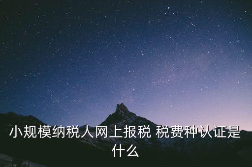 小規(guī)模納稅人網上報稅 稅費種認證是什么