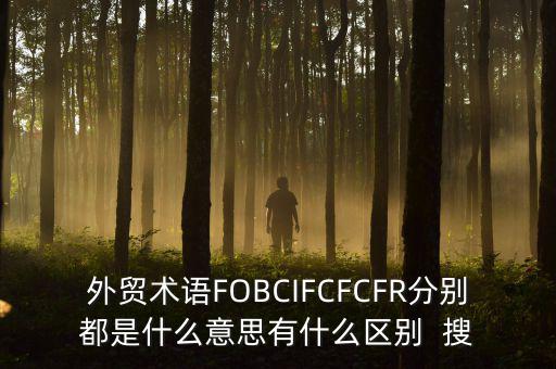 什么是被指定國別報告，什么是SGS