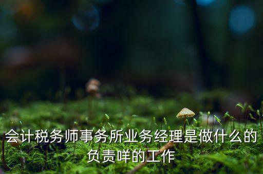 稅務師事務所做什么的，稅務所是干什么的