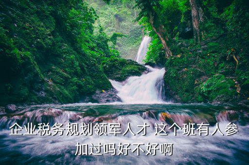 企業(yè)稅務(wù)規(guī)劃領(lǐng)軍人才 這個(gè)班有人參加過(guò)嗎好不好啊