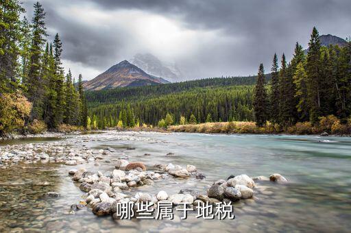 什么是地教稅，印花稅土地使用稅請(qǐng)問酒店要交地教稅土地使用稅是什