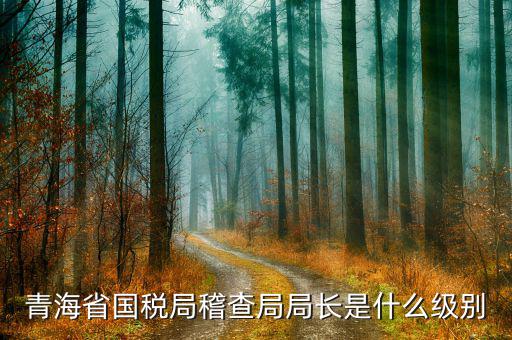 青海國稅精神是什么意思，青海省西寧城市精神是什么