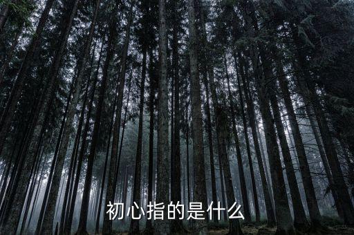 稅務人 初心是什么，納稅人意識是什么謝謝