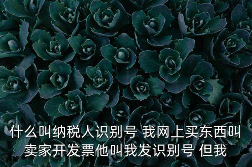 什么叫納稅人識(shí)別號(hào) 我網(wǎng)上買東西叫賣家開(kāi)發(fā)票他叫我發(fā)識(shí)別號(hào) 但我