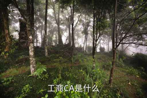 什么是企業(yè)ca密碼，ca證書密碼是什么