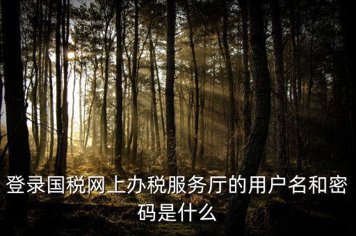 國稅網(wǎng)上登錄密碼是什么意思，國稅第一次網(wǎng)上申報(bào)的登陸密碼是什么
