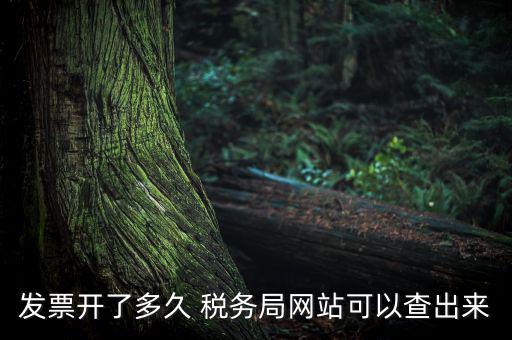 稅局一般什么時(shí)候查發(fā)票，增值稅發(fā)票開多久能在國(guó)家稅務(wù)局查到