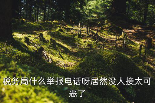 什么叫稅務(wù)舉報(bào)，稅務(wù)局什么舉報(bào)電話呀居然沒(méi)人接太可惡了