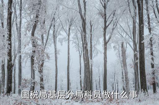 國稅局基建科做什么，是不是很多單位都有基建處基建處都干點(diǎn)什么
