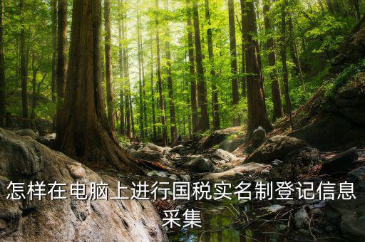 國稅采集需要什么資料，我想問一下報國稅時有個發(fā)票信息采集在里面輸入什么信息呢