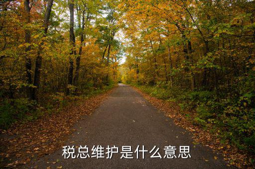 涉稅軟件維護(hù)費(fèi)是什么東東，稅總維護(hù)是什么意思